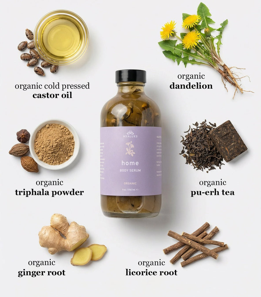 The Belly Debloat Bundle