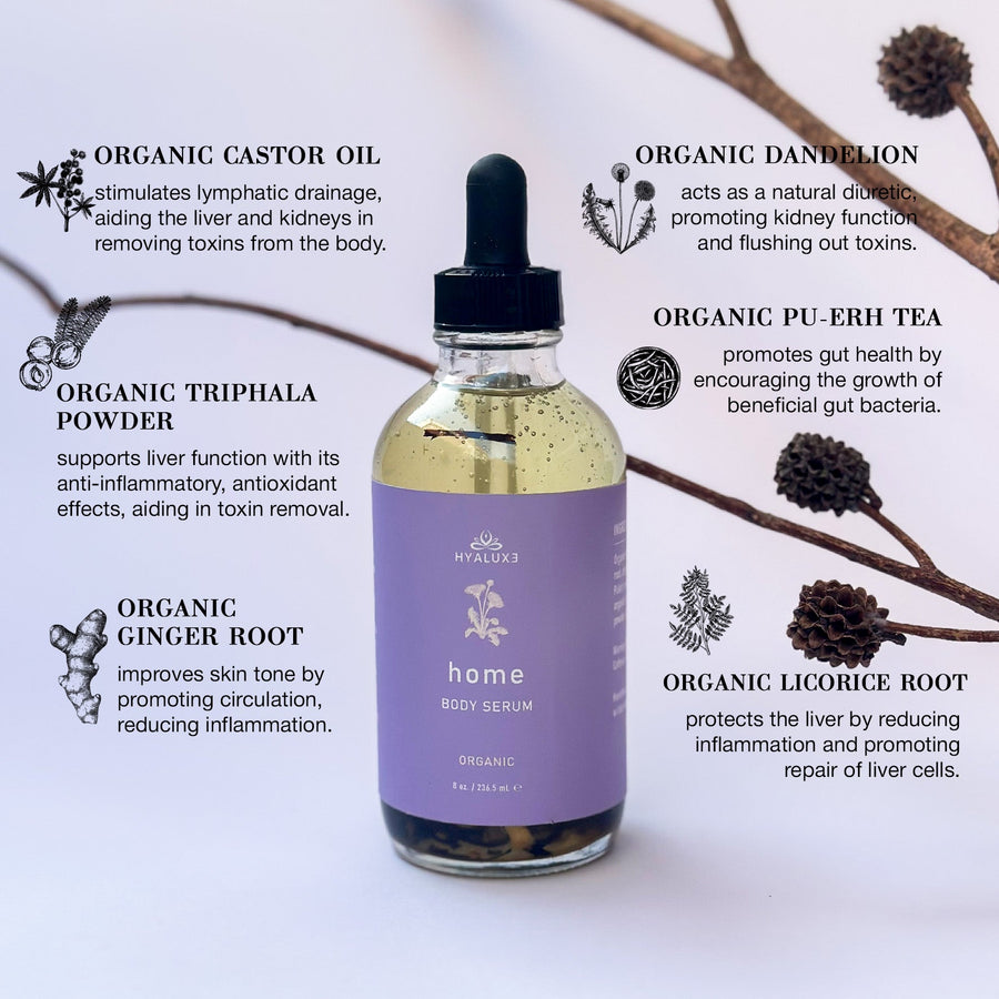 The Belly Debloat Bundle