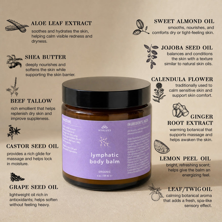 The Belly Debloat Bundle