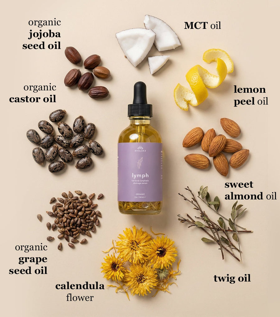 The Belly Debloat Bundle